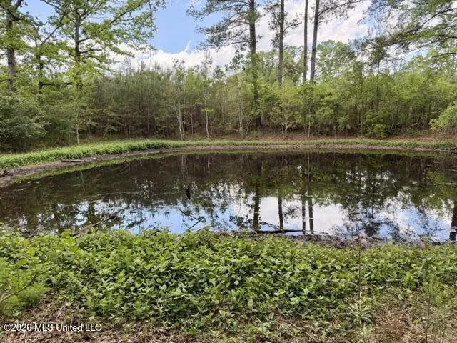 000 Old State Line Road Tylertown, MS 39667