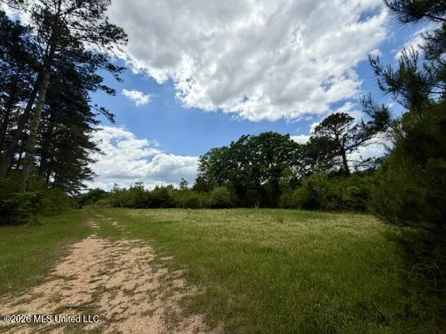 000 Old State Line Road Tylertown, MS 39667
