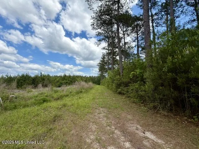000 Old State Line Road Tylertown, MS 39667