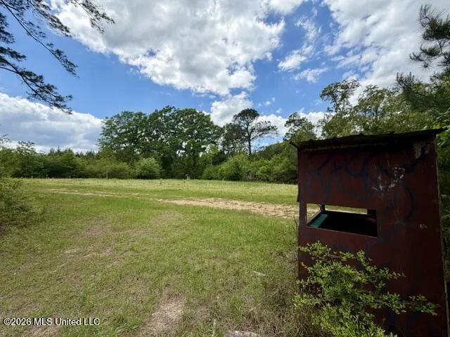 000 Old State Line Road Tylertown, MS 39667