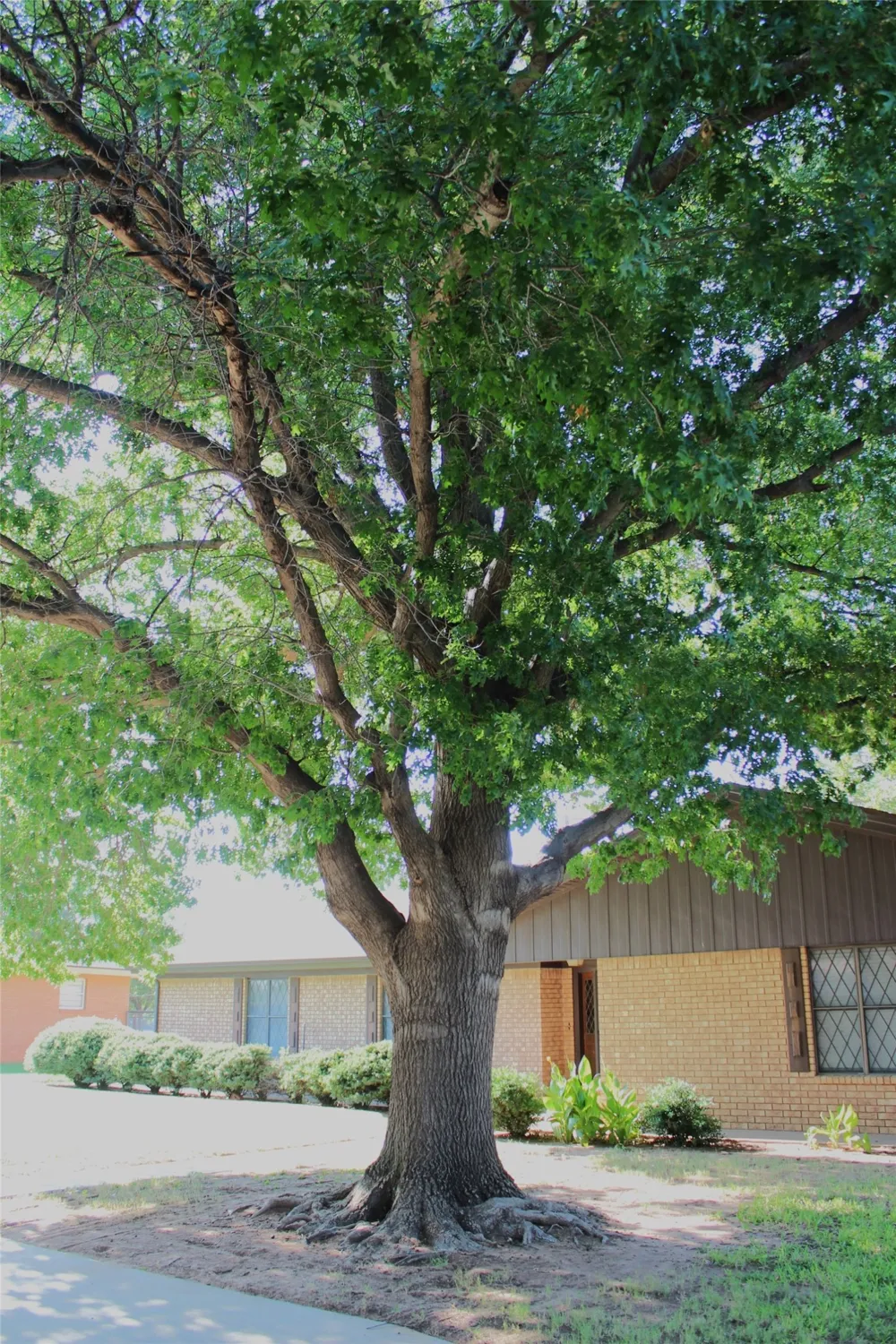 130 L STREET Munday, TX 76371