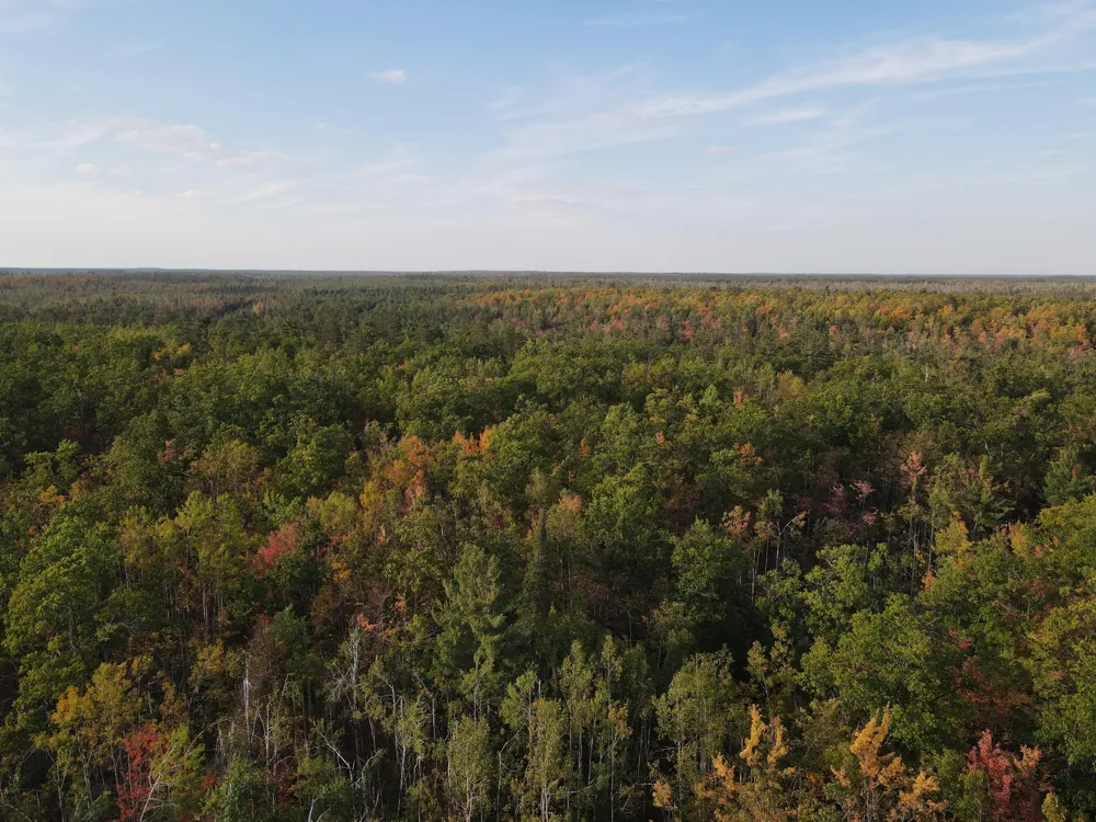 22006 Bowden Trail Hillman, MI 49746
