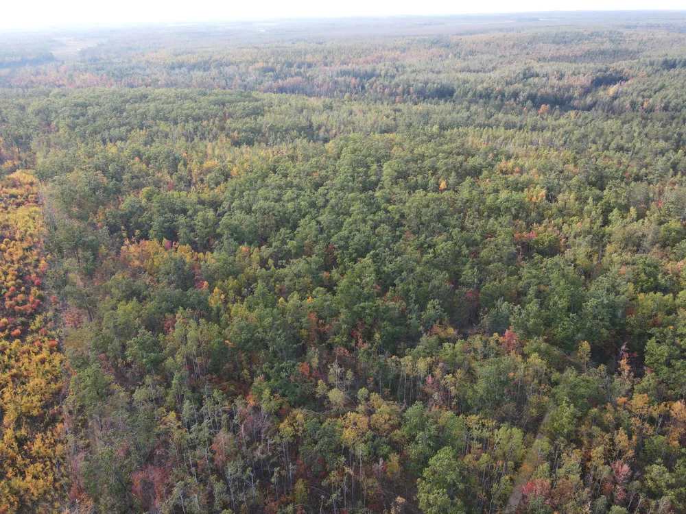 22006 Bowden Trail Hillman, MI 49746