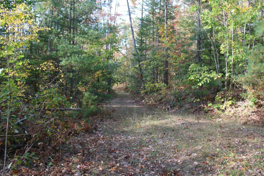 22006 Bowden Trail Hillman, MI 49746