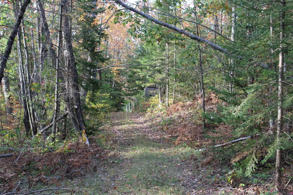 22006 Bowden Trail Hillman, MI 49746