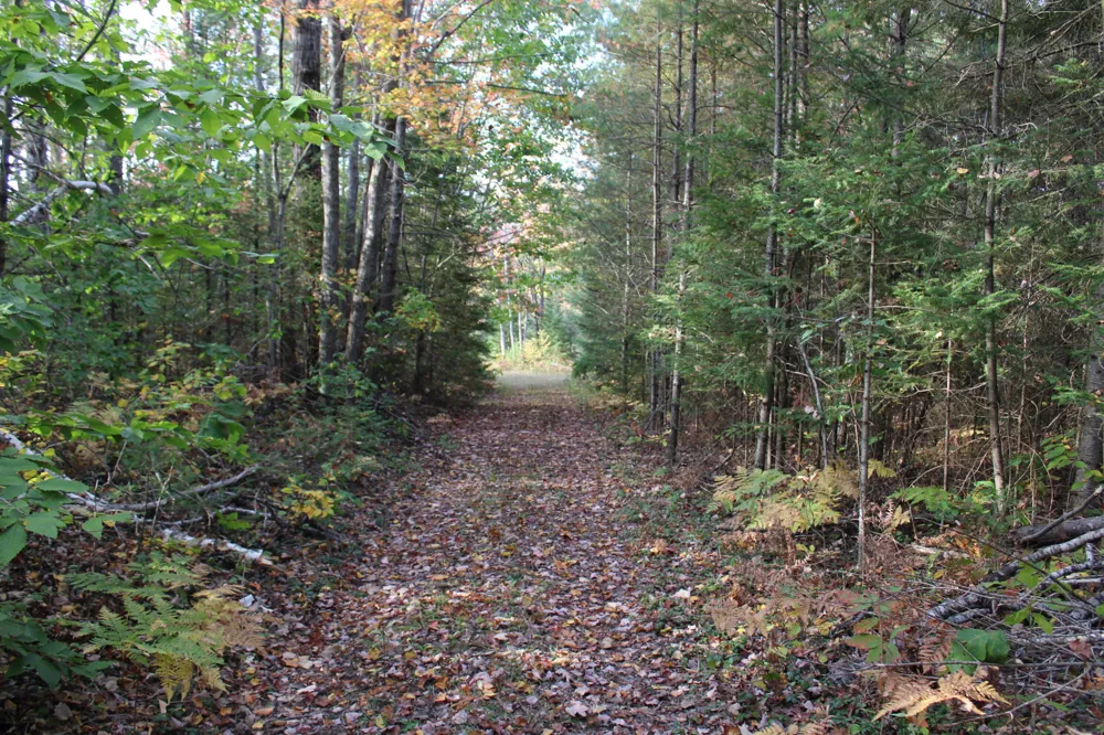 22006 Bowden Trail Hillman, MI 49746
