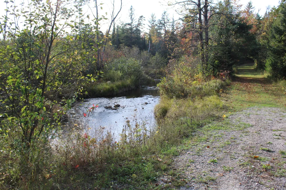 22006 Bowden Trail Hillman, MI 49746