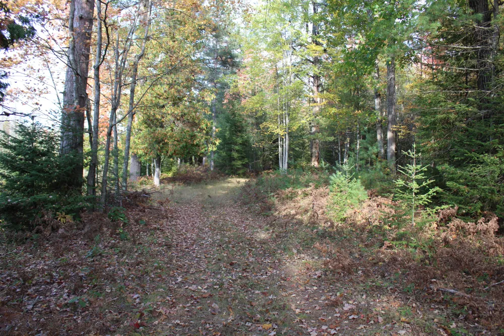 22006 Bowden Trail Hillman, MI 49746