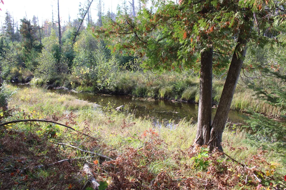 22006 Bowden Trail Hillman, MI 49746