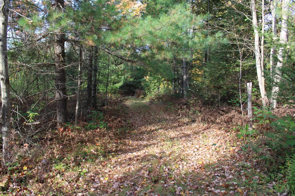 22006 Bowden Trail Hillman, MI 49746