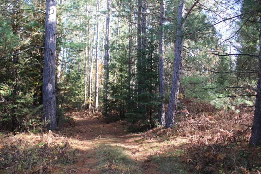22006 Bowden Trail Hillman, MI 49746