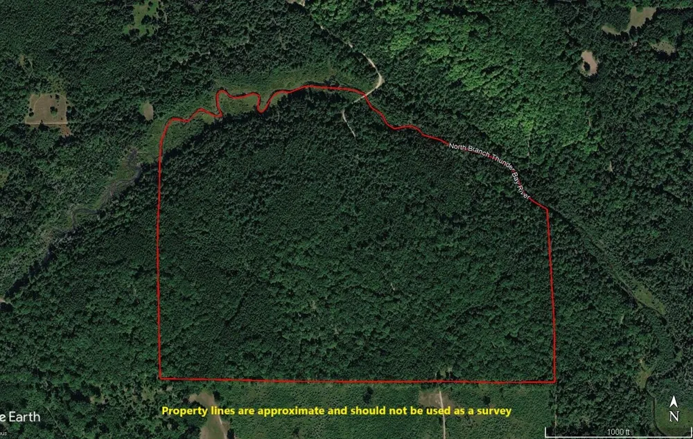 22006 Bowden Trail Hillman, MI 49746