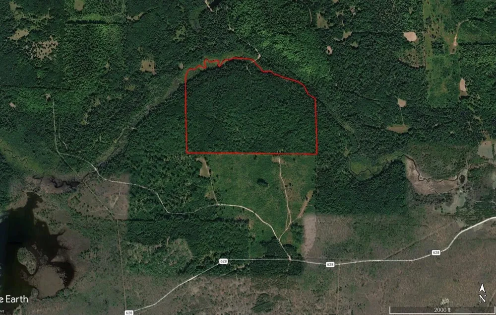 22006 Bowden Trail Hillman, MI 49746