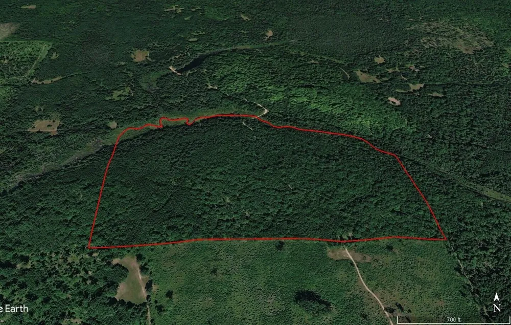 22006 Bowden Trail Hillman, MI 49746