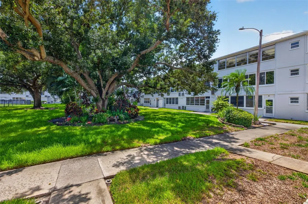 1000 79TH AVENUE #111 St Petersburg, FL 33702
