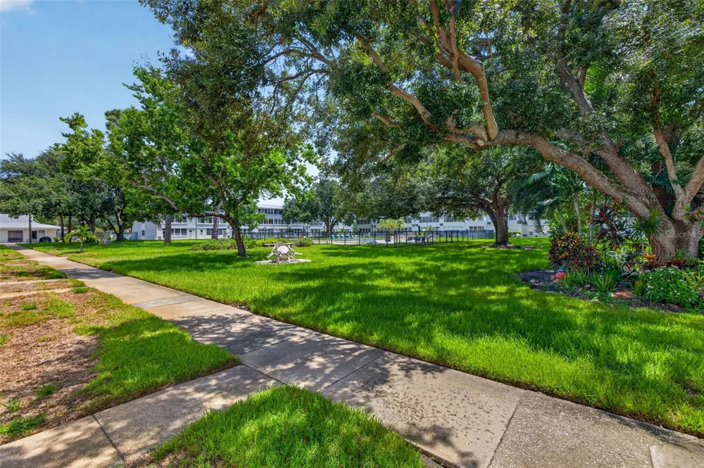 1000 79TH AVENUE #111 St Petersburg, FL 33702