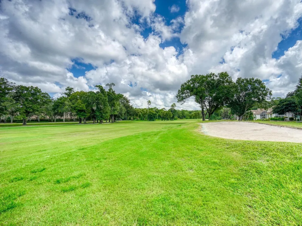 3944 SILK OAK LANE Palm Harbor, FL 34685