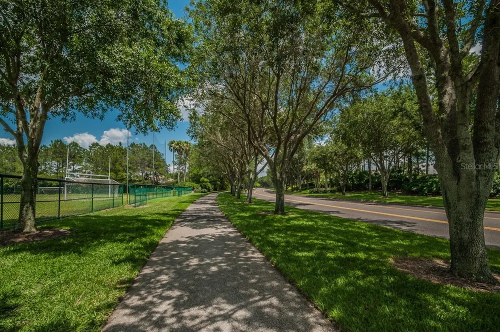 3944 SILK OAK LANE Palm Harbor, FL 34685
