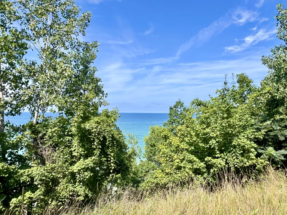 3007 Lakeshore Drive Fennville, MI 49408
