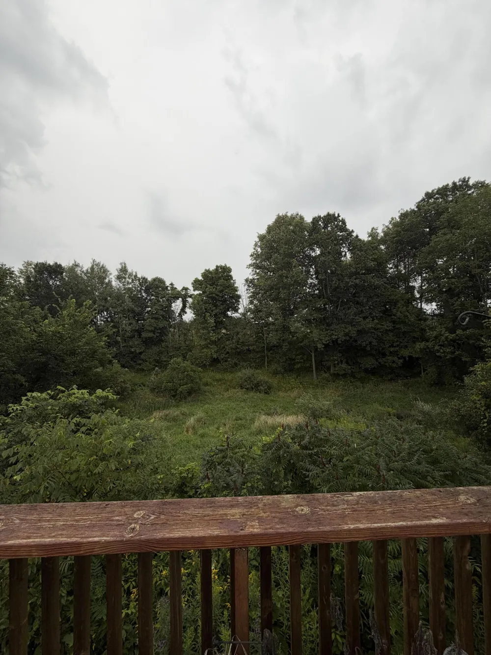 12215 Leonard Road Nunica, MI 49448