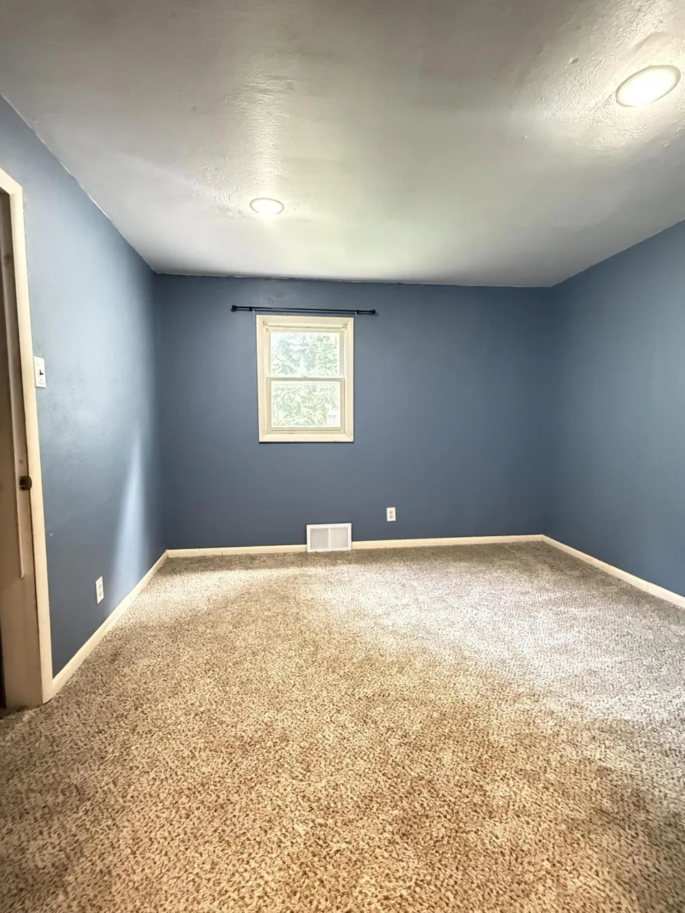 11826 9 1/2 Mile Road Ceresco, MI 49033