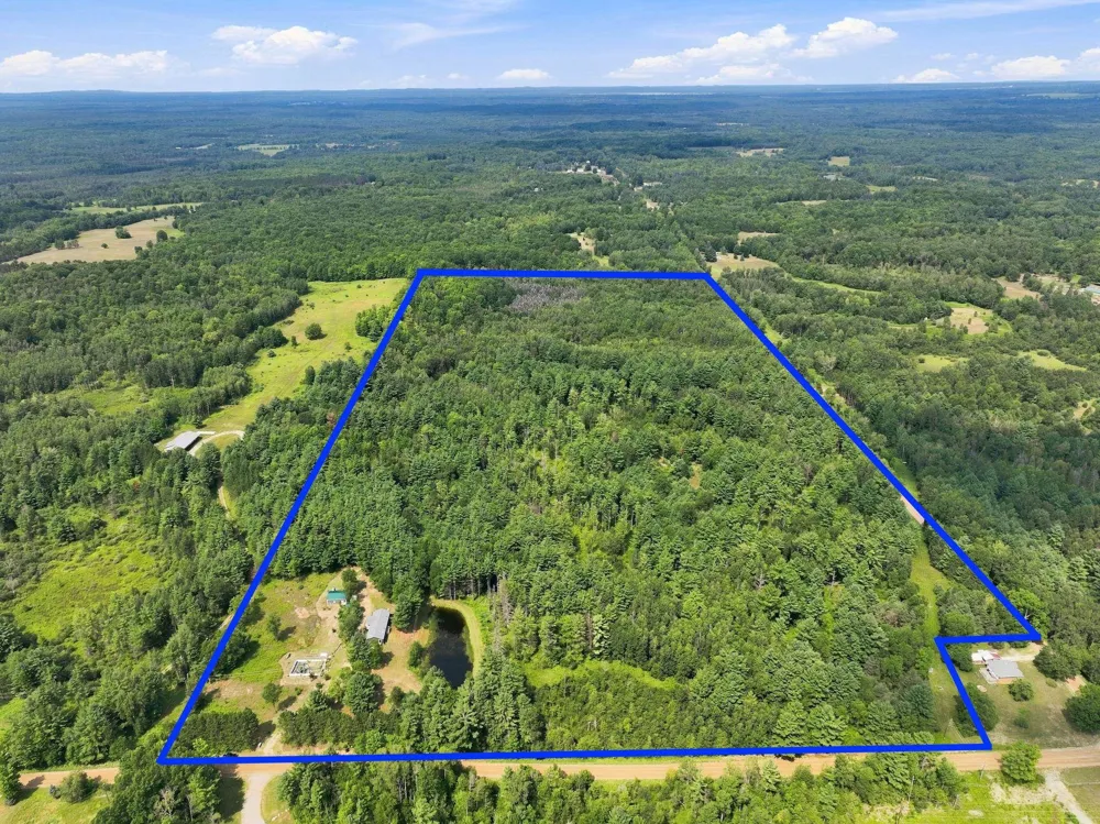 21222 21 Mile Road Burdell Township, MI 49688