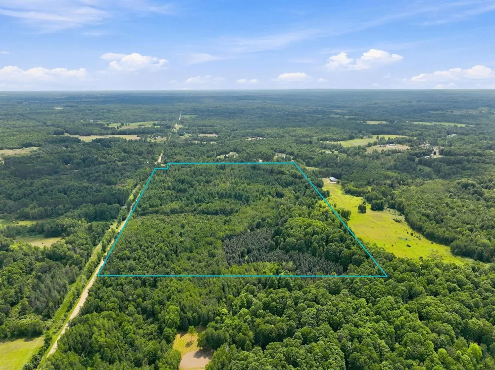 21222 21 Mile Road Burdell Township, MI 49688