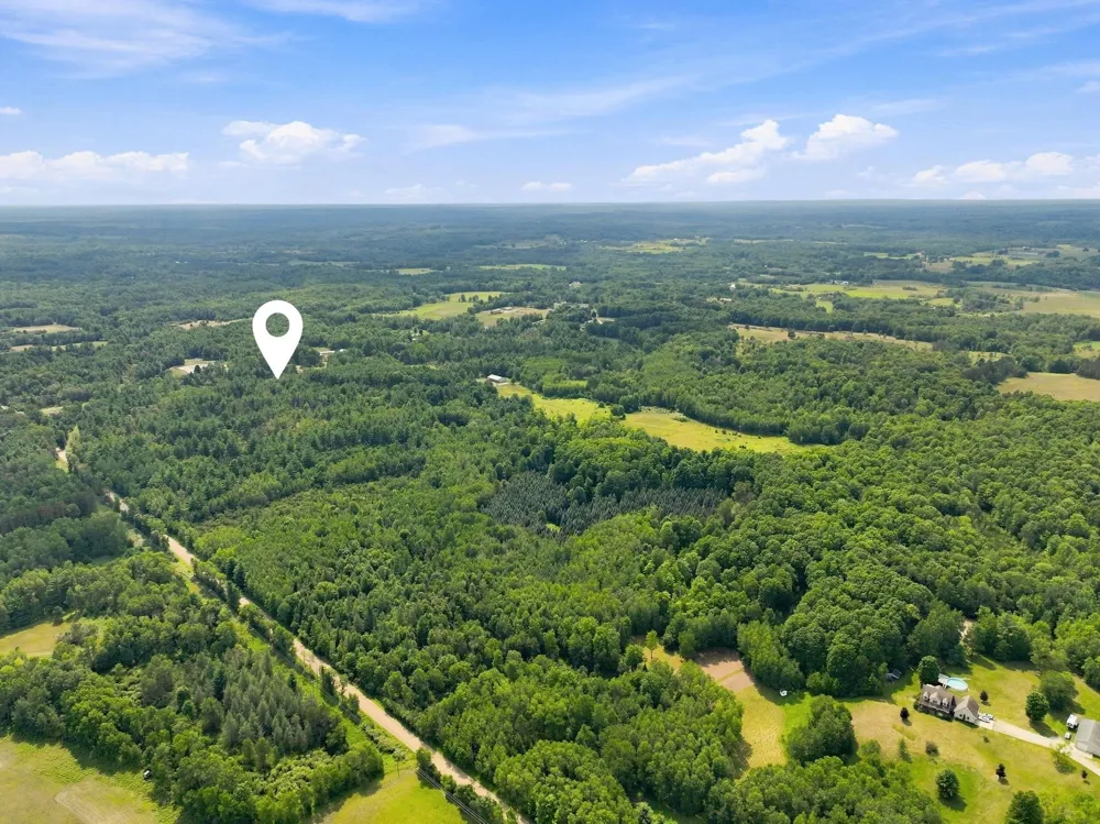 21222 21 Mile Road Burdell Township, MI 49688