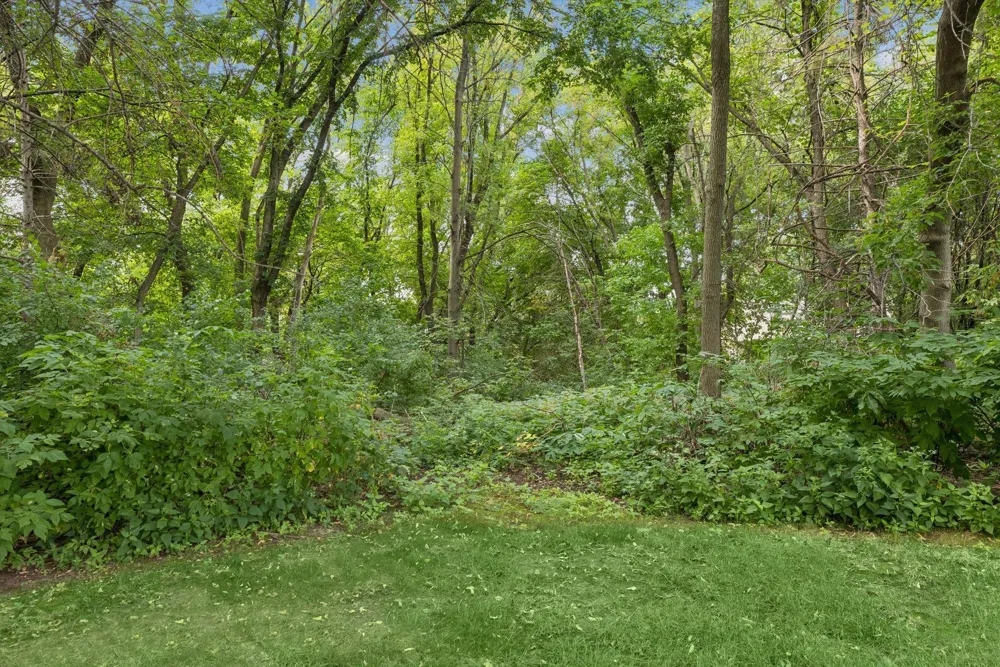 1355 Medora Road Mendota Heights, MN 55118