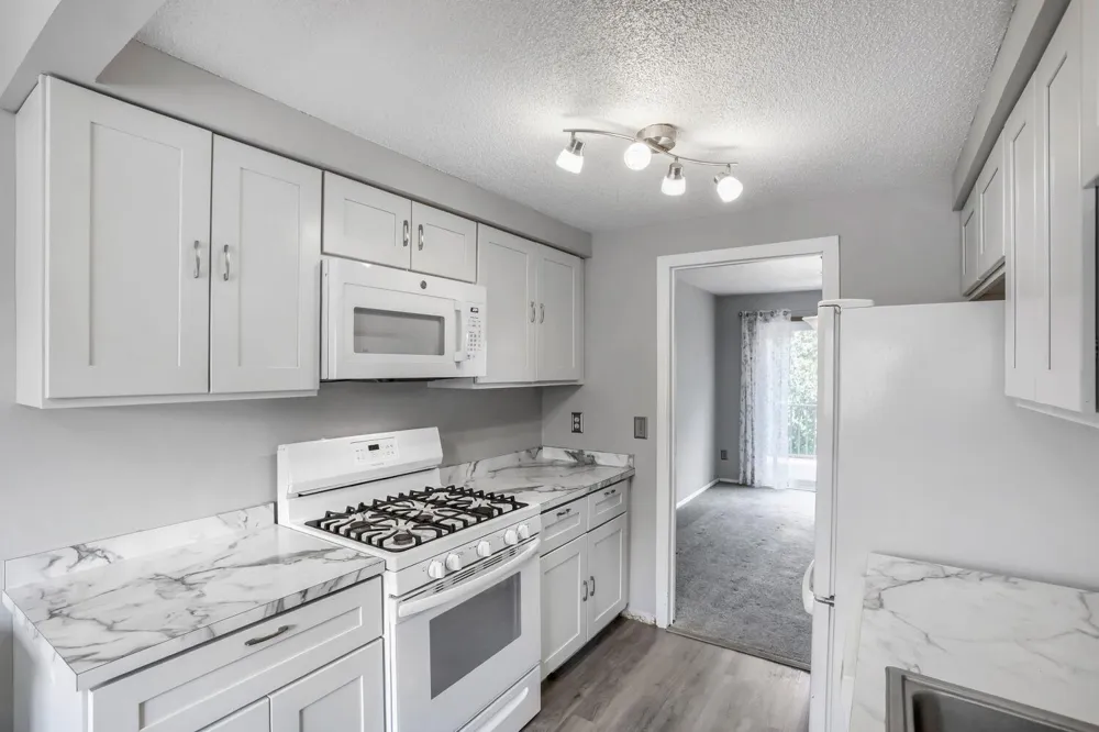 12217 Drake Street NW Coon Rapids, MN 55448