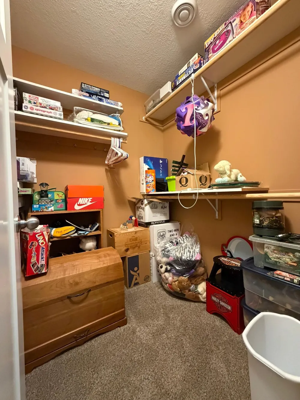 3221 Lakeridge Drive NW Rochester, MN 55901