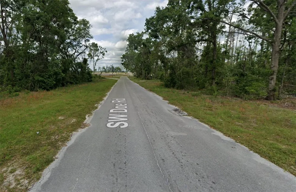 00 SW DOE ROAD Mayo, FL 32066