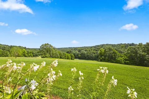 1043 Murphy Hollow Road