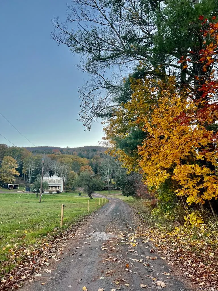 226 State Route 296 Windham, NY 12496