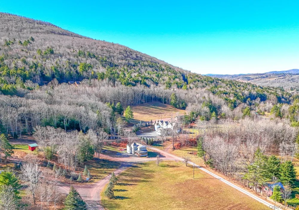 226 State Route 296 Windham, NY 12496