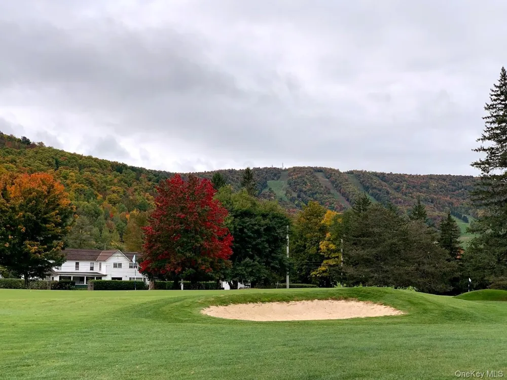 226 State Route 296 Windham, NY 12496