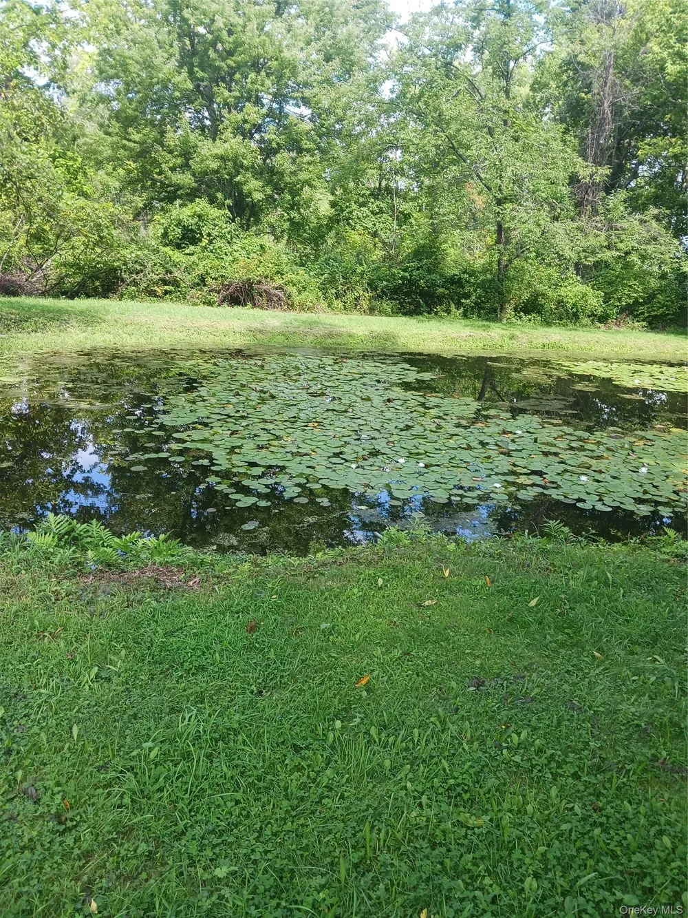 36 Greentree Lane Milton, NY 12547