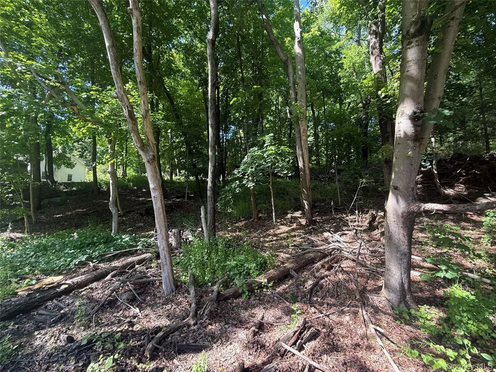 Rt-292 Holmes, NY 12531