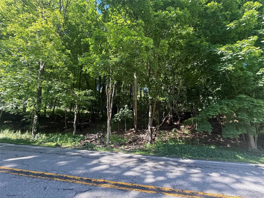 Rt-292 Holmes, NY 12531