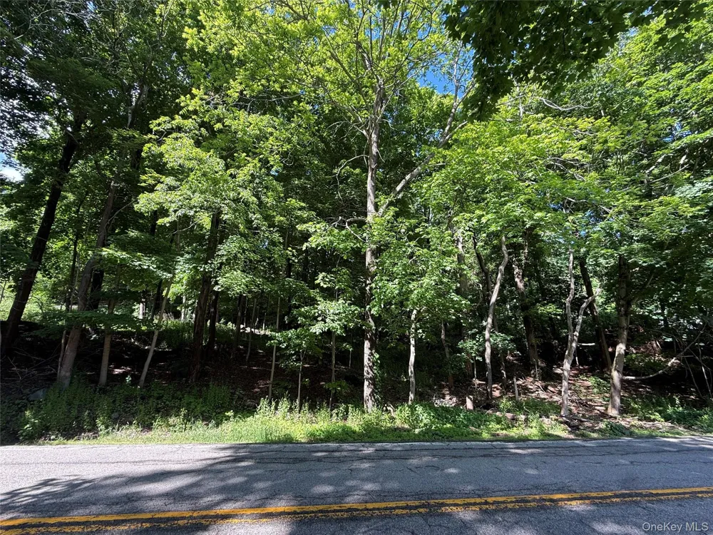 Rt-292 Holmes, NY 12531