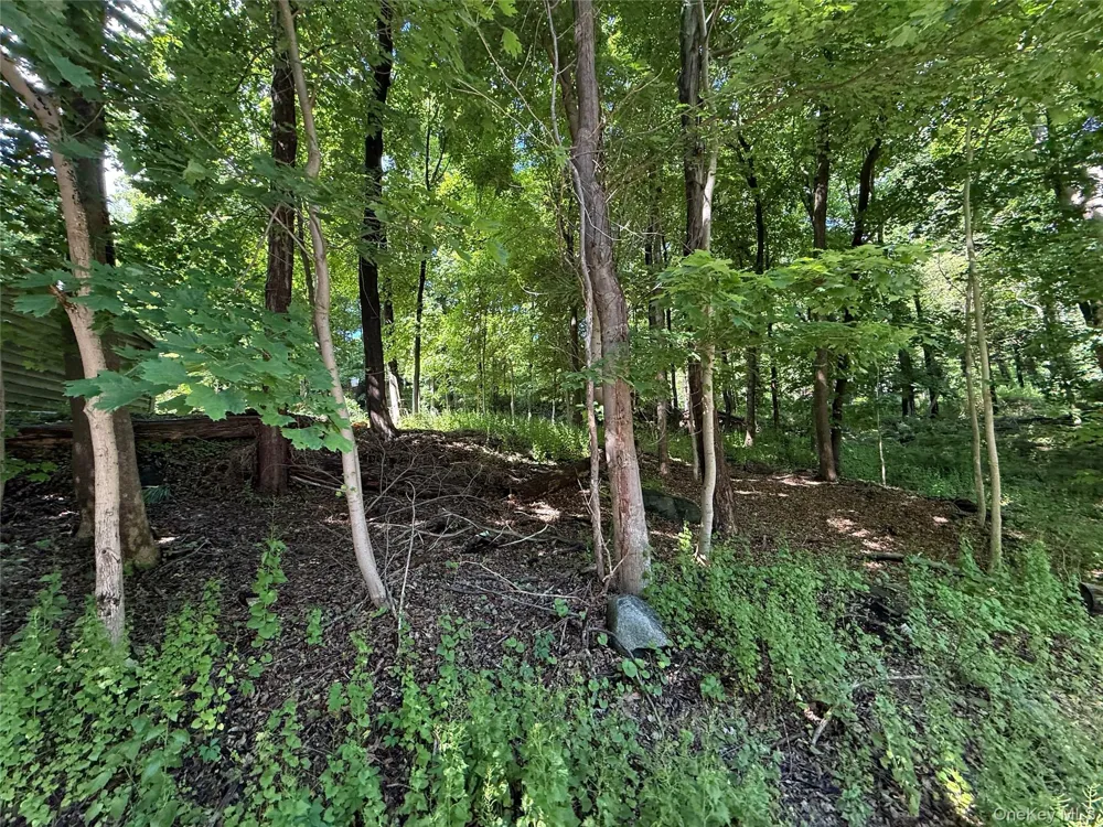 Rt-292 Holmes, NY 12531