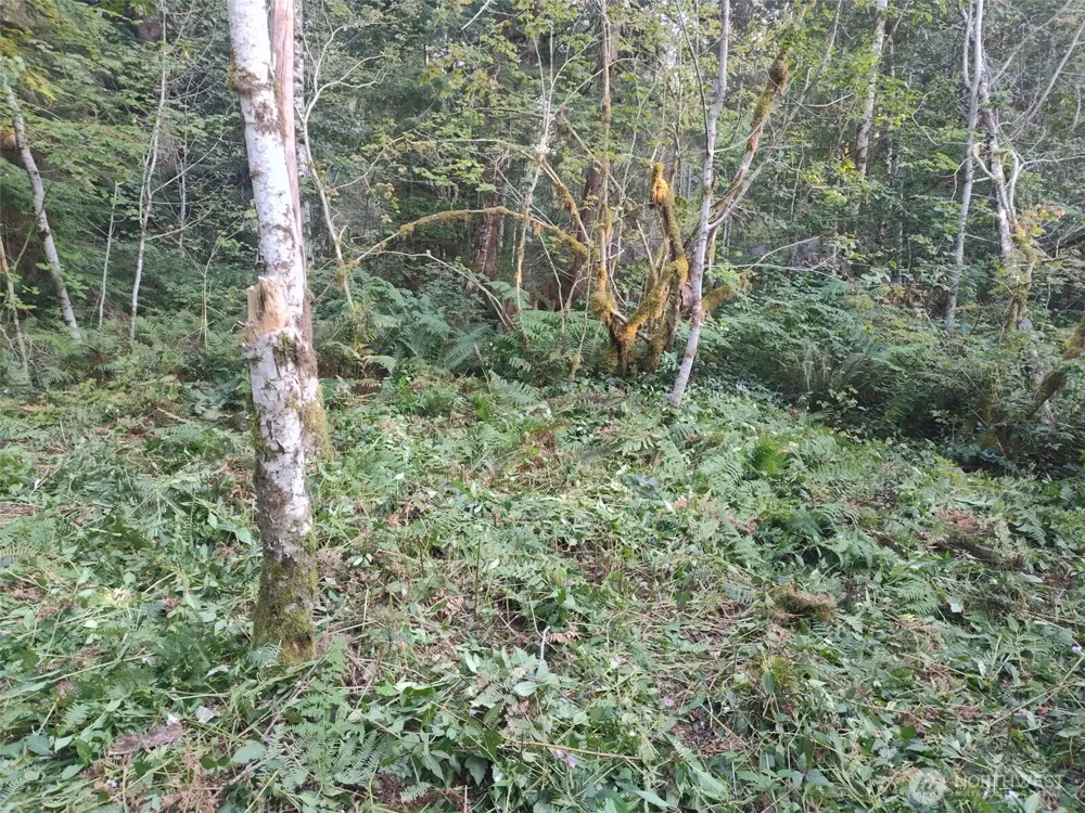 7566 Glacier Springs Drive Glacier, WA 98244