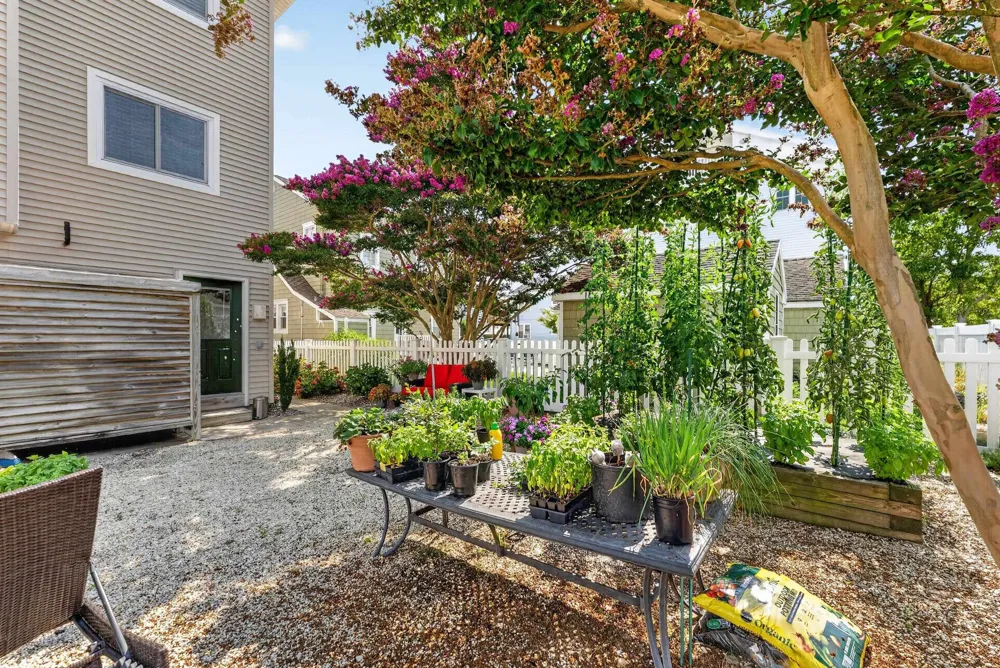 356 E 39th Street Avalon, NJ 08202