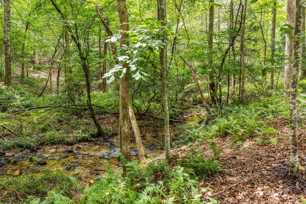 208 Autumn Lane Blairsville, GA 30512