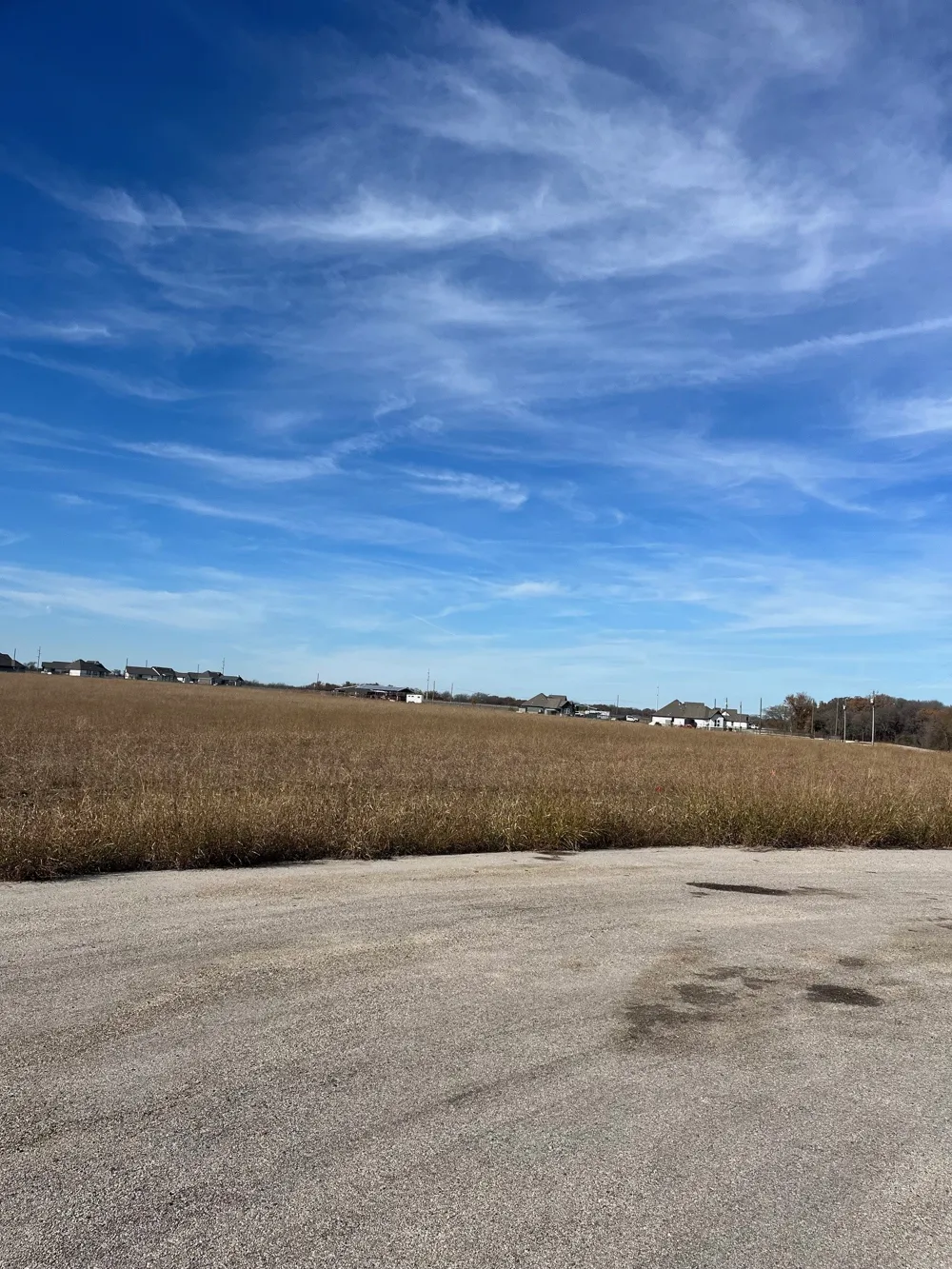 236 Chambers Creek Trail No City, TX 76009