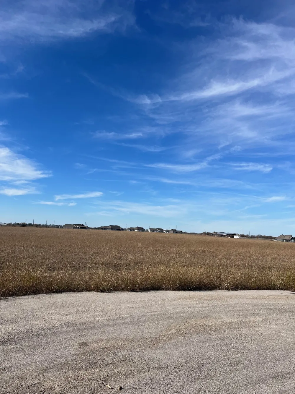 236 Chambers Creek Trail No City, TX 76009