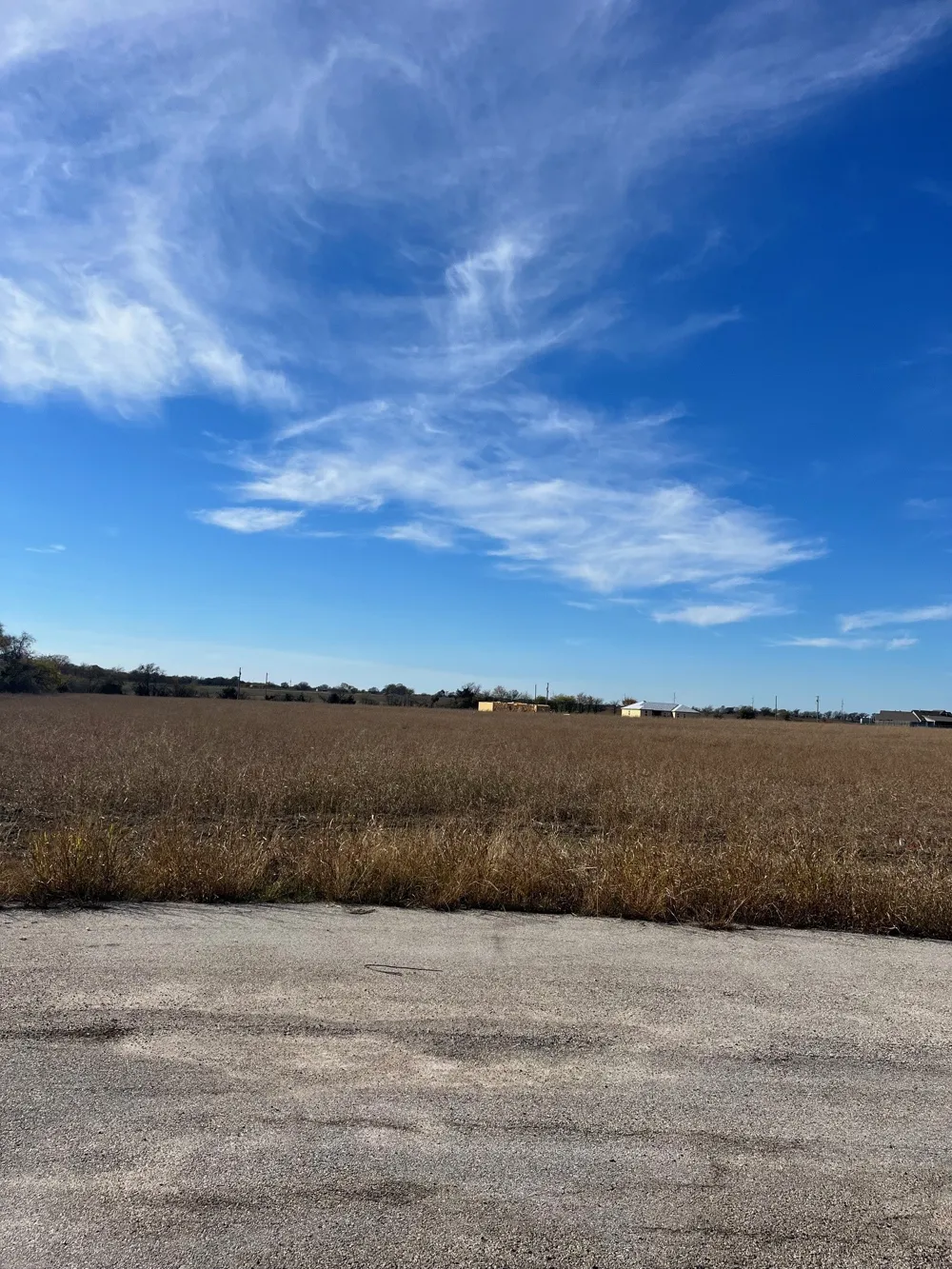 236 Chambers Creek Trail No City, TX 76009