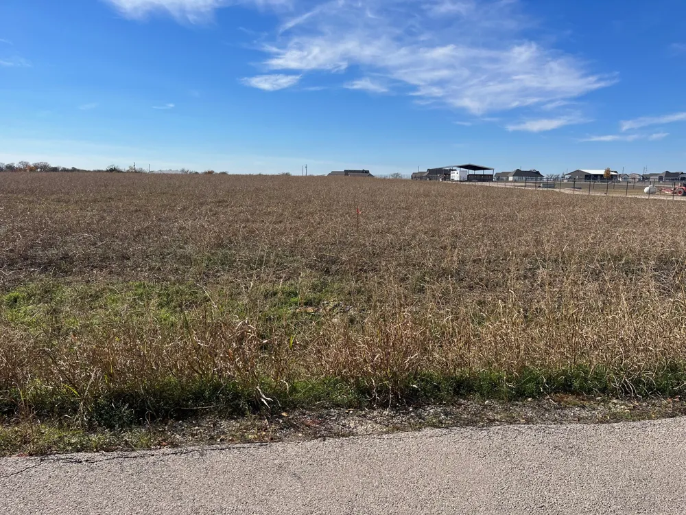236 Chambers Creek Trail No City, TX 76009