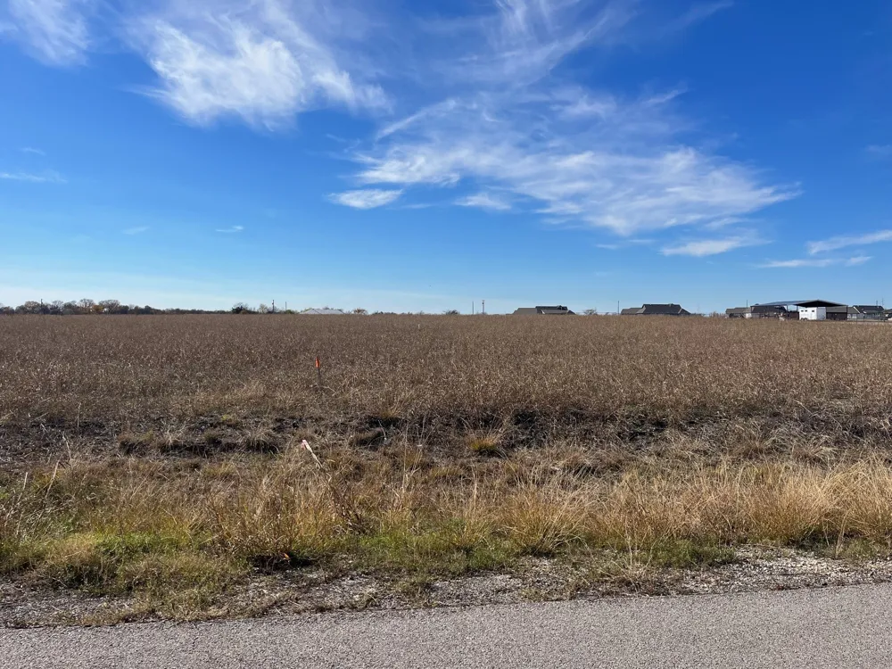236 Chambers Creek Trail No City, TX 76009