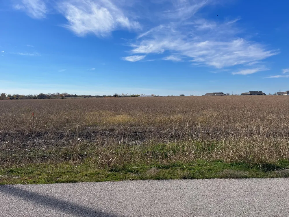 236 Chambers Creek Trail No City, TX 76009
